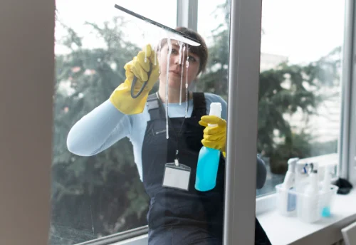 Nettoyage de vitres intérieures et extérieures à Péone